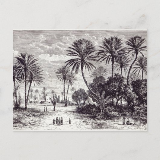 Carte Postale Oasis de Gafsa : Tunis (Devant)