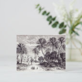 Carte Postale Oasis de Gafsa : Tunis (Debout devant)