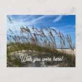 Carte postale "Oats de mer" (Devant)