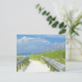 Carte Postale Oats de mer d'or (Debout devant)