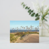 Carte Postale Oats de mer et dunes (Debout devant)