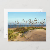 Carte Postale Oats de mer et dunes (Devant / Derrière)