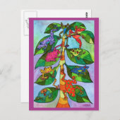 Carte Postale Oaxacan Frog Tree of Life (Devant / Derrière)
