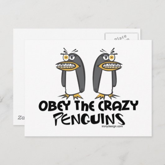 Carte Postale Obéissez aux pingouins fous ! (Devant / Derrière)