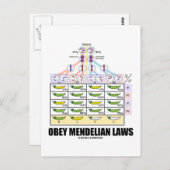 Carte Postale Obey Mendelian Laws (Dihybride Cross Peas) (Devant / Derrière)