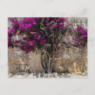 Carte Postale Obidos Colors Portugal