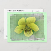 Carte Postale Objets de coordination de violette jaune sauvage (Devant / Derrière)