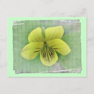 Carte Postale Objets de coordination de violette jaune sauvage