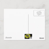 Carte Postale Objets de Kestrel Américain (Falco sparverius) (Dos)