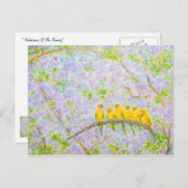 Carte Postale Observateur De La Famille (Devant / Derrière)