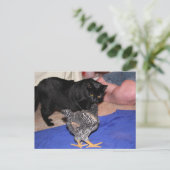 Carte Postale Observateurs (Debout devant)