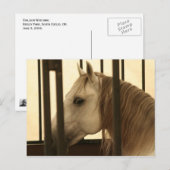Carte Postale Observation de Stallion (Devant / Derrière)