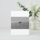 Carte Postale Observation des baleines - Impression de la balein (Debout devant)