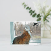 Carte Postale Observation des oiseaux (Debout devant)