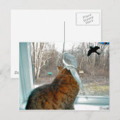 Carte Postale Observation des oiseaux (Devant / Derrière)