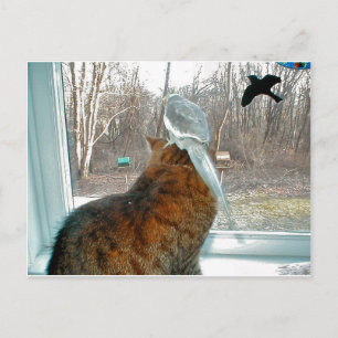 Carte Postale Observation des oiseaux