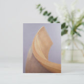 Carte Postale Observatoire de Jaipur (Debout devant)