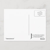 Carte postale "Observer" JTG Art (Dos)