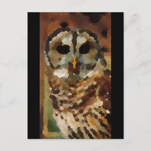 Carte postale "Observer" JTG Art (Devant)