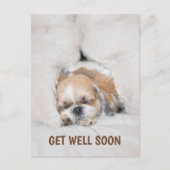 Carte Postale Obtenez bien bientôt mignonne chiot chien shihtzu (Devant)
