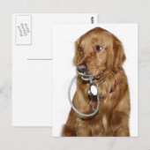 Carte Postale Obtenez bien golden retriever (Devant / Derrière)