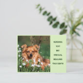 Carte Postale Obtenez bien - guérison - Gute Besserung (Debout devant)