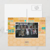 Carte Postale Obtenez-les boyz (Devant / Derrière)