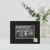 Carte Postale Obtenez-les boyz (Debout devant)