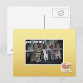 Carte Postale Obtenez-les boyz (Devant / Derrière)