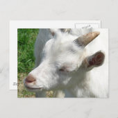 Carte Postale Obtenez-moi quelques nuances (Devant / Derrière)