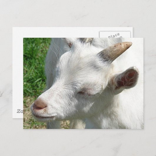 Carte Postale Obtenez-moi quelques nuances (Devant / Derrière)