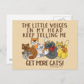 Carte Postale Obtenir Plus De Chats Drôle Dire (Devant / Derrière)