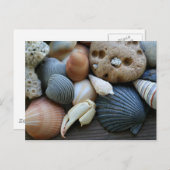 Carte Postale obus (Devant / Derrière)