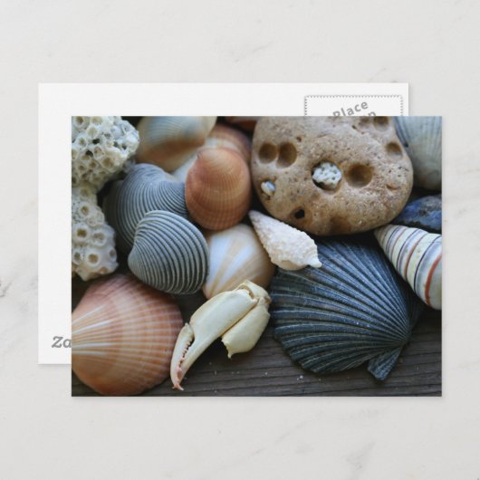 Carte Postale obus (Devant / Derrière)