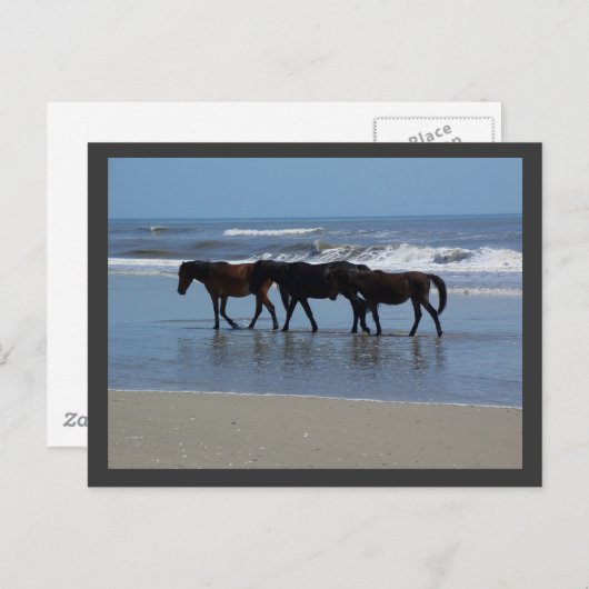 CARTE POSTALE OBX (Devant / Derrière)