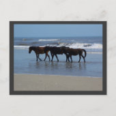 CARTE POSTALE OBX (Devant)