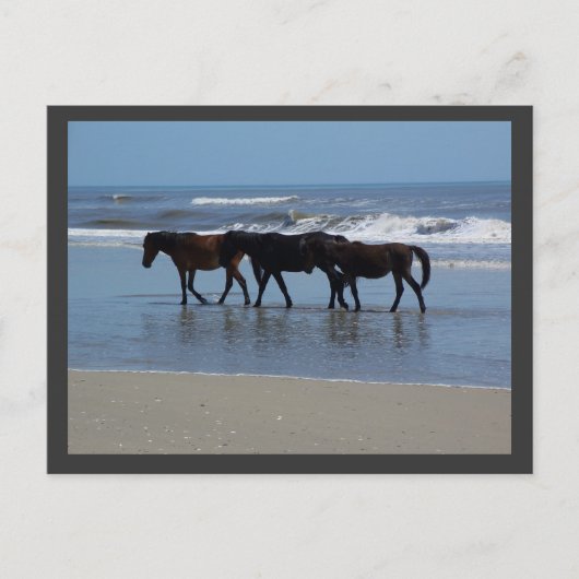 CARTE POSTALE OBX (Devant)