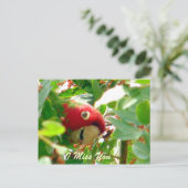 Carte Postale Occasions_ (Debout devant)