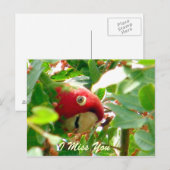 Carte Postale Occasions_ (Devant / Derrière)