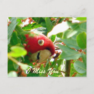 Carte Postale Occasions_