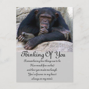 Carte Postale Occasions_
