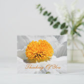 Carte Postale Occasions_ (Debout devant)