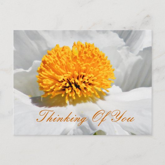 Carte Postale Occasions_ (Devant)