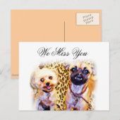 Carte Postale Occasions_ (Devant / Derrière)