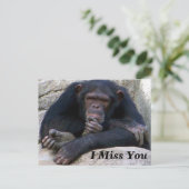 Carte Postale Occasions_ (Debout devant)