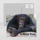 Carte Postale Occasions_ (Devant / Derrière)