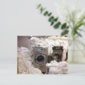 Carte postale "OCCUPÉ" (Debout devant)