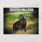 Carte Postale Occupé À Droite Meow ? Écraser plus tard (Devant)