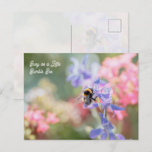 Carte Postale "Occupé comme une petite abeille bourdon" Fleurs p