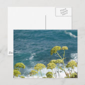 Carte postale Ocean (Devant / Derrière)